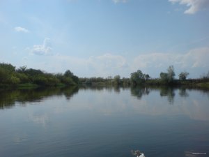 DSC01524.JPG