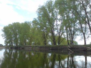 DSC01530.JPG