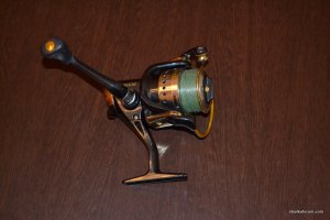 DSC_2862.JPG