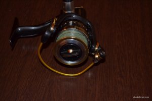 DSC_2864.JPG
