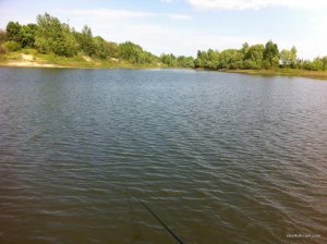 IMG_0673.JPG