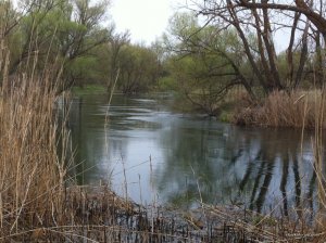 IMG_0634.JPG