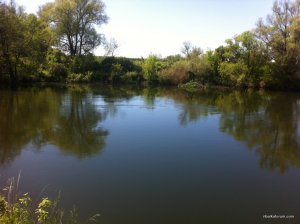 IMG_0663.JPG
