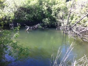 IMG_0666.JPG