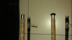 IMAG0343.jpg
