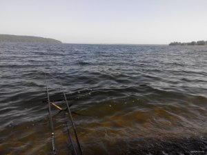 IMG_20140518_063019.jpg