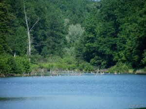 20140527-3.JPG