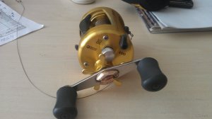 IMAG0367.jpg