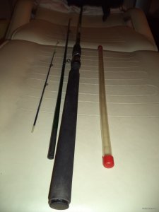 DSC01337.JPG
