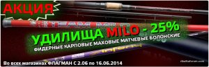 milo-25.jpg