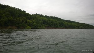 WP_20140601_002.jpg