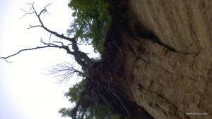 WP_20140601_021.jpg