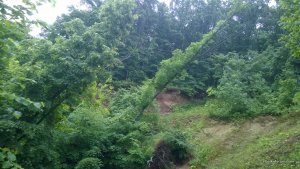 WP_20140601_046.jpg