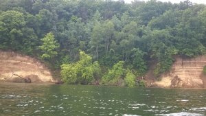 WP_20140601_061.jpg