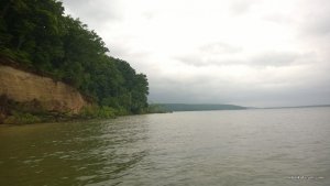WP_20140601_065.jpg