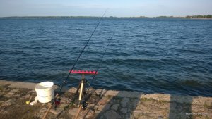 WP_20140601_107.jpg