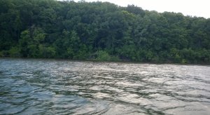 WP_20140601_095.jpg