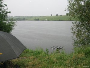 IMG_8730.JPG