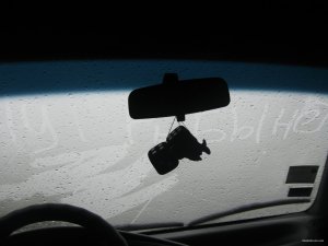 IMG_8731.JPG