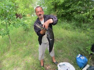 IMG_1849[1].JPG