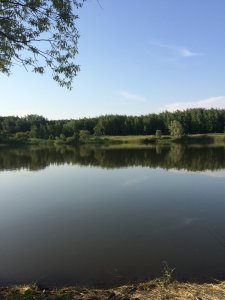 IMG_5630.jpg