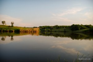 water2.jpg