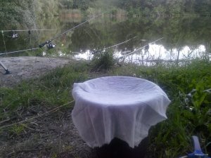 IMG_20140606_195339.jpg