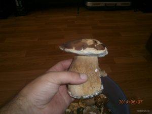 Изображение мои фото 332.jpg