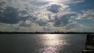 WP_20140614_016.jpg