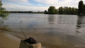 WP_20140614_037.jpg