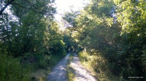 WP_20140615_007.jpg