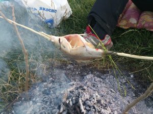 DSC_0073[1].JPG