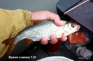 Копия 333 011.jpg