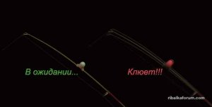 6325189_orig.jpg