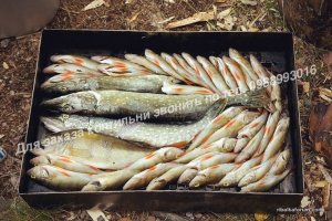 watermarked - Mf78xM_Un2k — копия.jpg