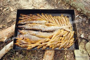 watermarked - guGQSwKDj7Q1111.jpg