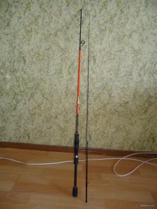 DSC01640.JPG