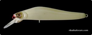 3376_0.jpg