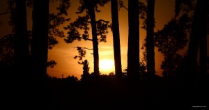DSC_0489.JPG