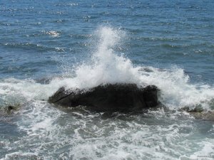 IMG_4116.JPG