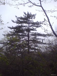 DSC01805.JPG