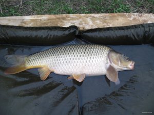 IMG_8773.JPG
