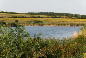 IMG_4255 копия.jpg