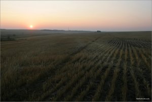 IMG_4342 копия.jpg