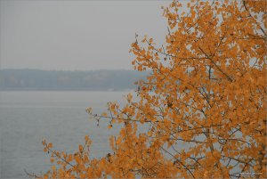 IMG_4728 копия.jpg