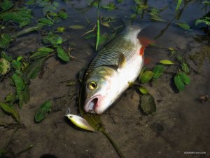 IMG_2884.JPG