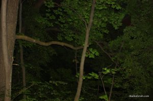 Копия ,,,''' 017.jpg