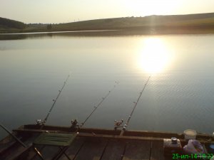 DSC01029.JPG
