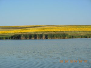 DSCN7141.jpg