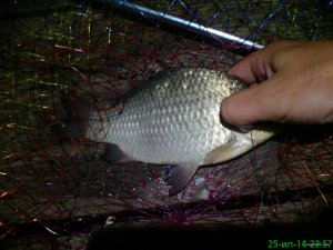 DSC01030.JPG